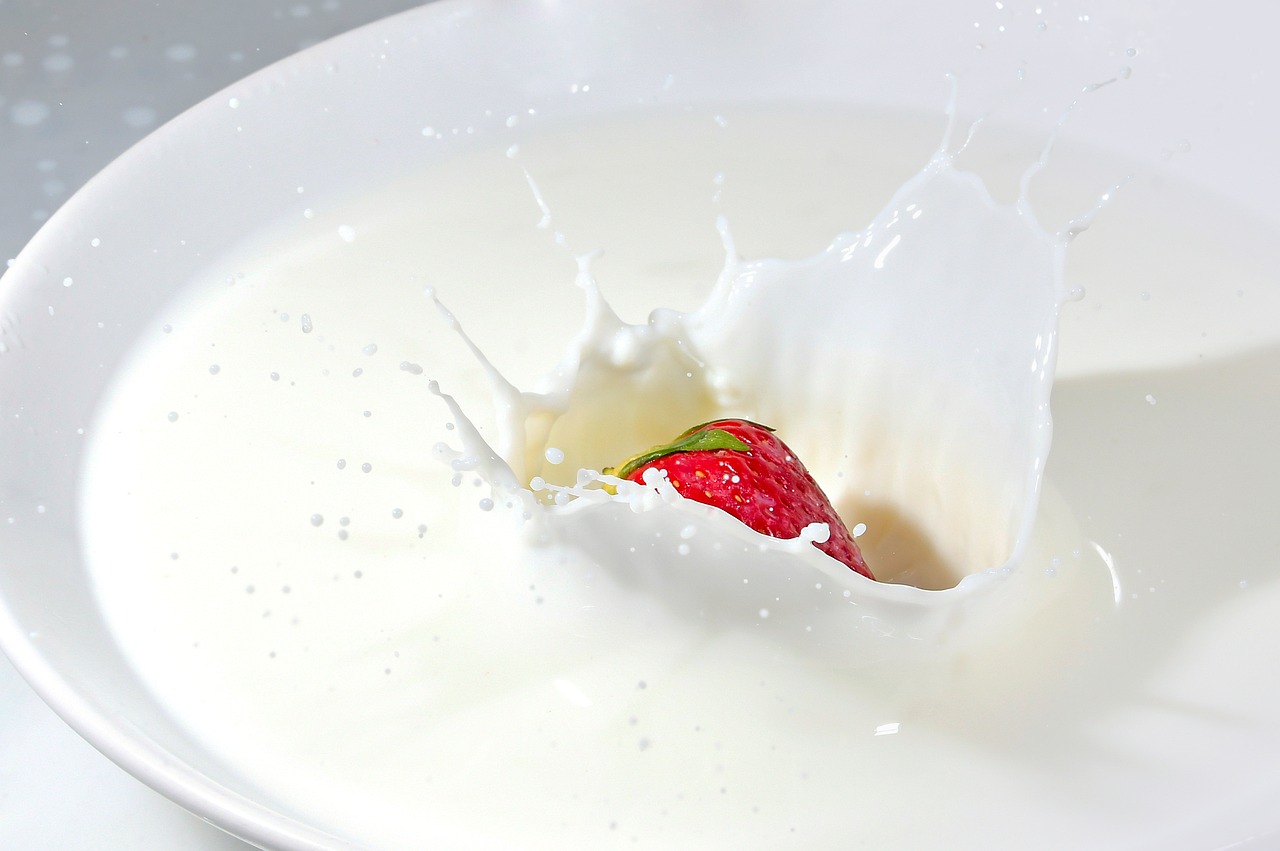 Whole & Skim Milk Powder